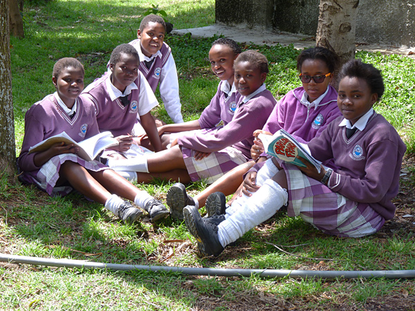 Mehrere Mädchen sitzen auf einer Wiese und lernen zusammen